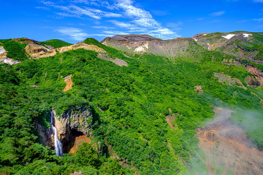みやぎ蔵王三十六景 駒草平の画像 - 4枚目