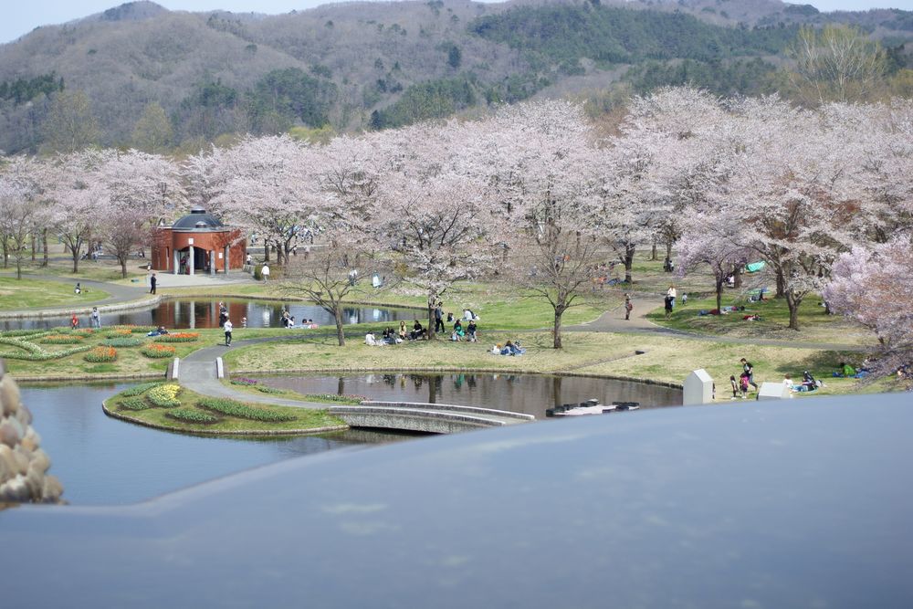 国営みちのく杜の湖畔公園】の周辺スポット・アクセス・口コミ - Prism