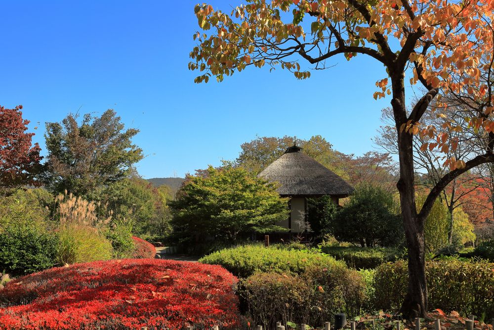国営みちのく杜の湖畔公園】の周辺スポット・アクセス・口コミ - Prism