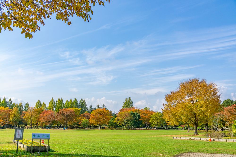七北田公園の画像 - 5枚目