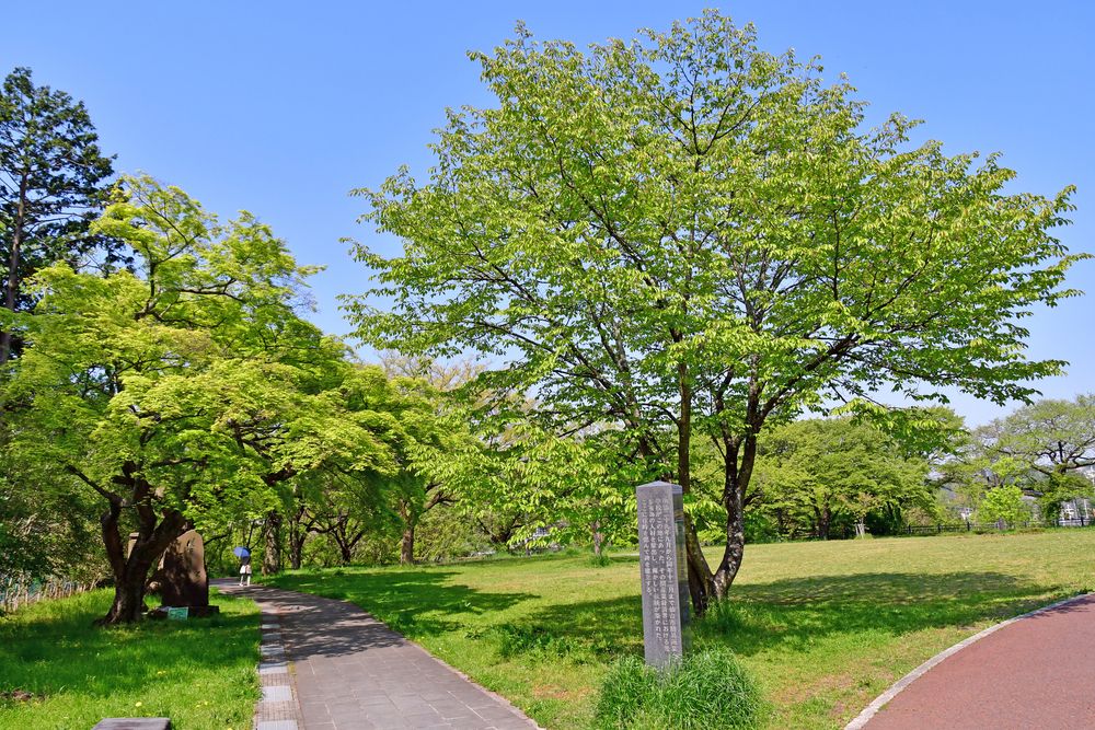 西公園の画像 - 2枚目