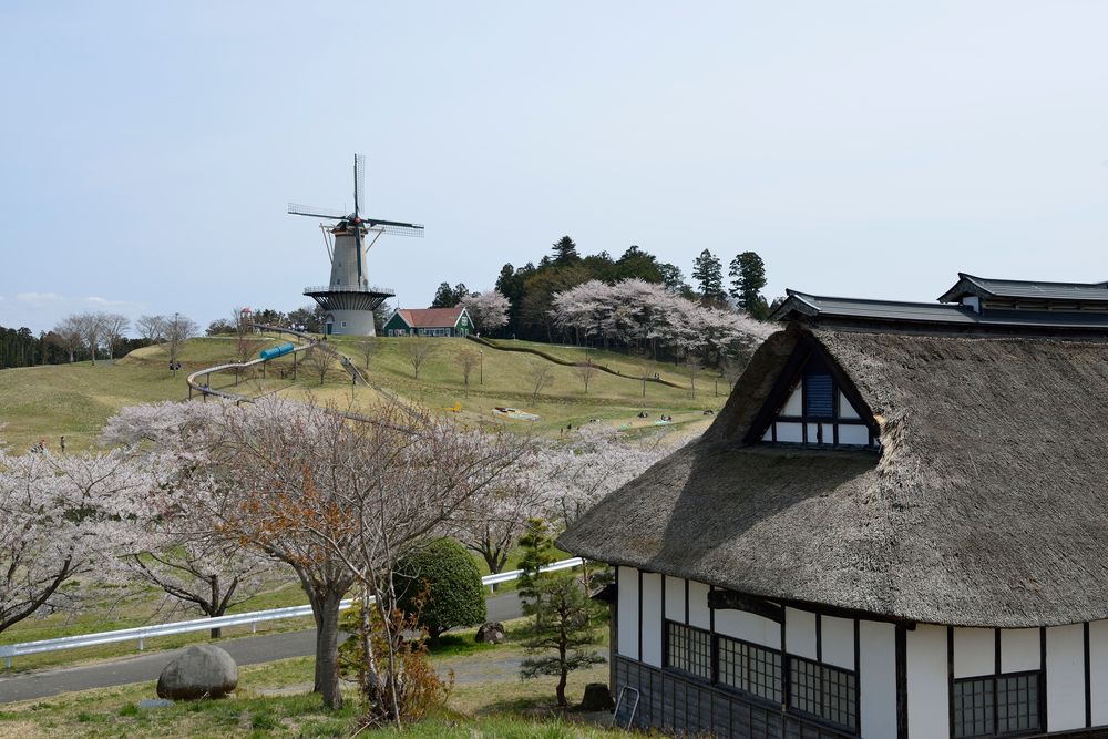 長沼フートピア公園の画像 - 3枚目