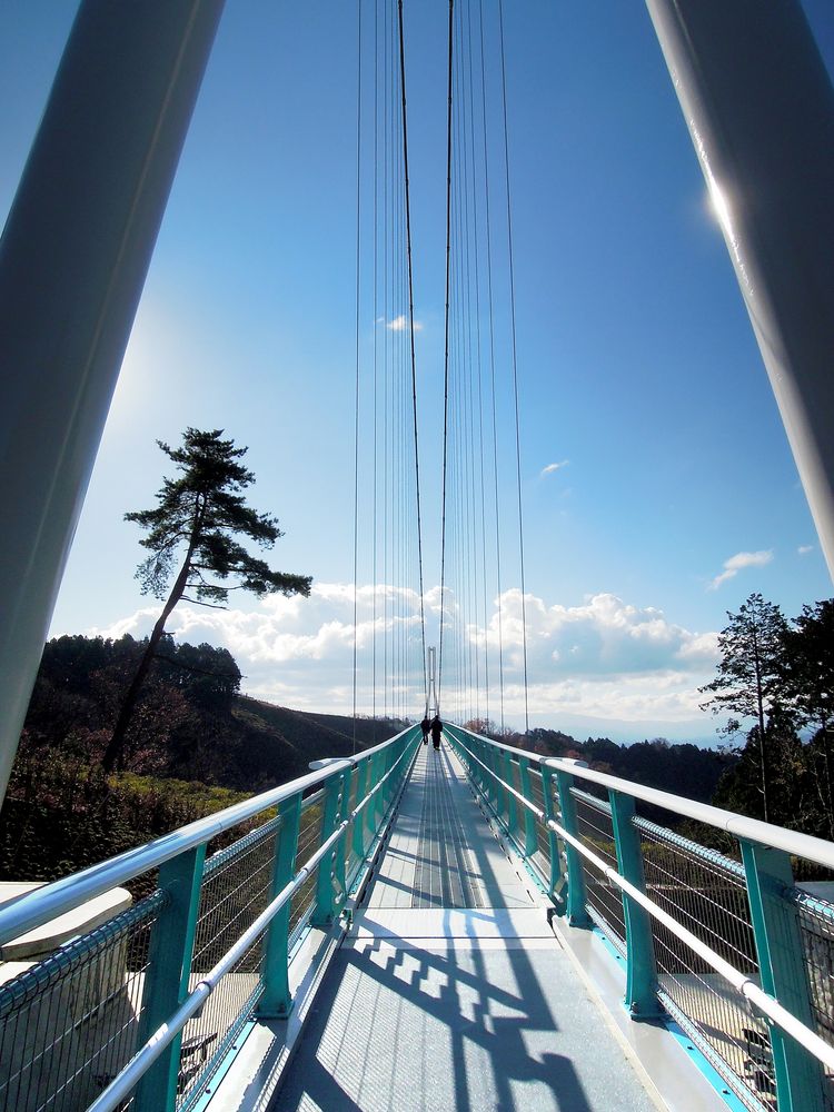 三島スカイウォークの画像 - 2枚目