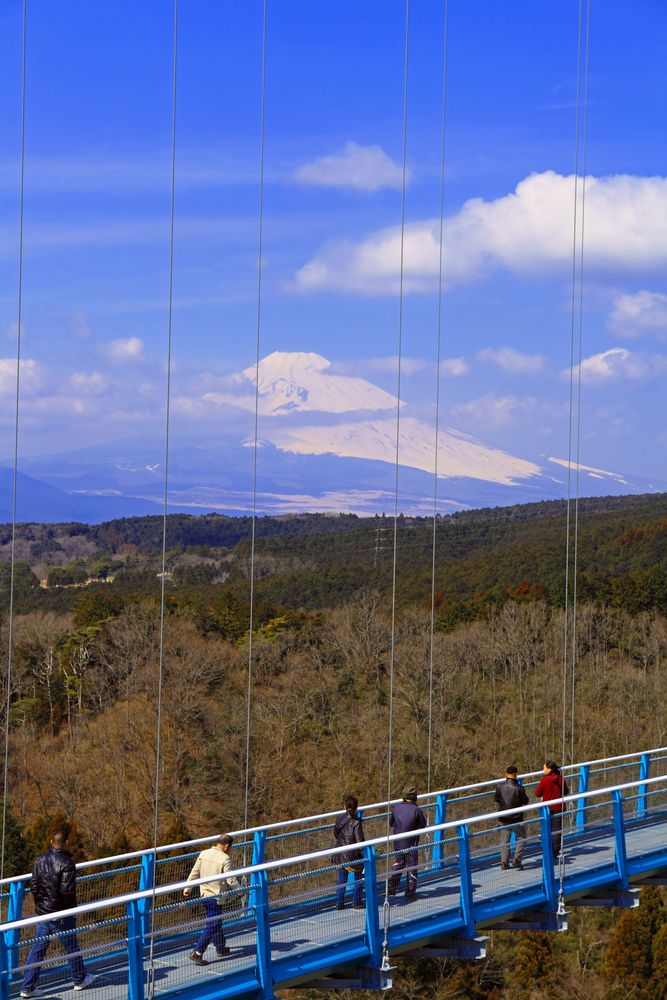 三島スカイウォークの画像 - 3枚目