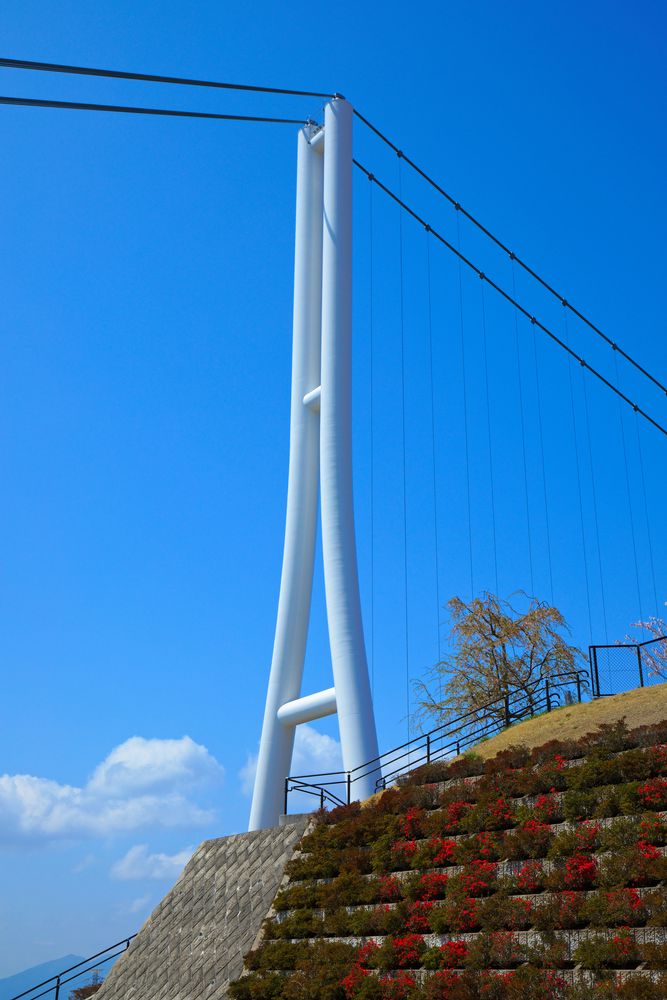 三島スカイウォークの画像 - 4枚目