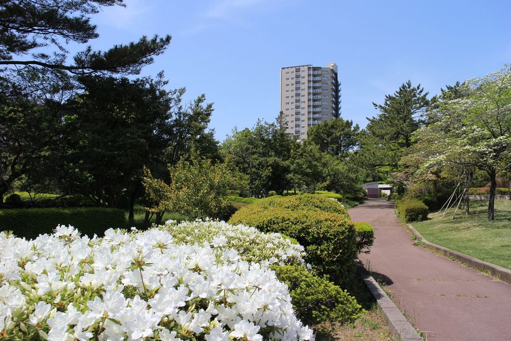 榴岡公園の画像 - 2枚目