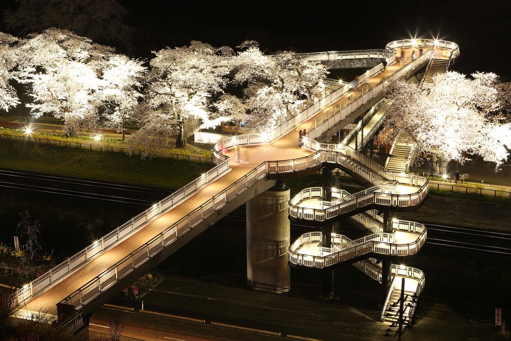 しばた千桜橋（一目千本桜）の画像 - 5枚目
