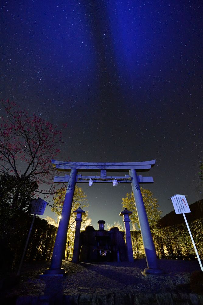 金運爆上げ　特別祈祷　多賀大社本宮　緑メノウ勾玉御守り なぎ守り みやげもんコレクション320 BRUTUS No.915 | Miyagemon