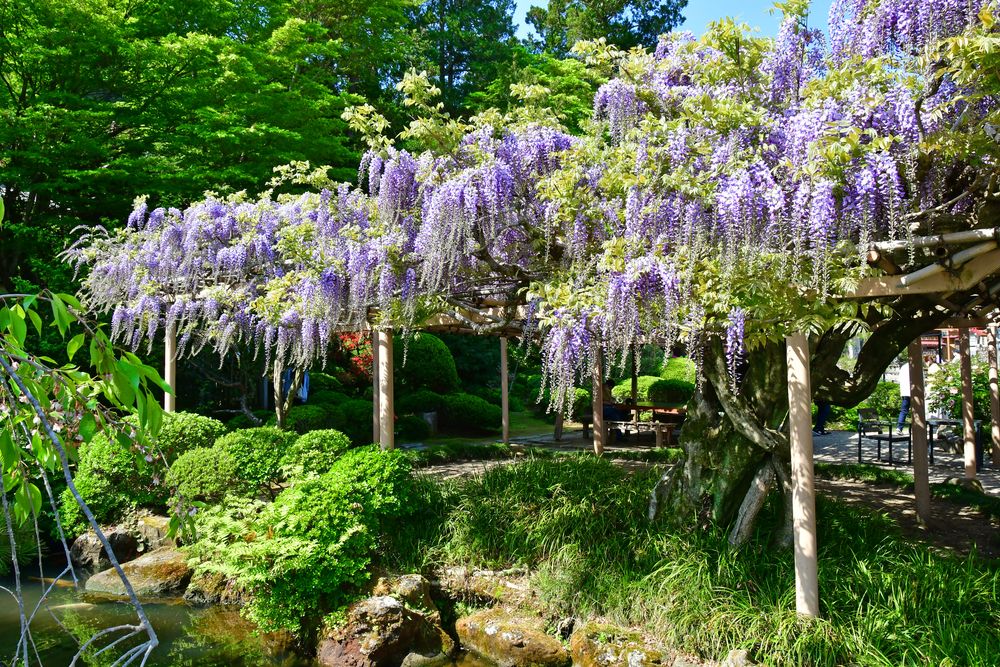 金蛇水神社の画像 - 4枚目