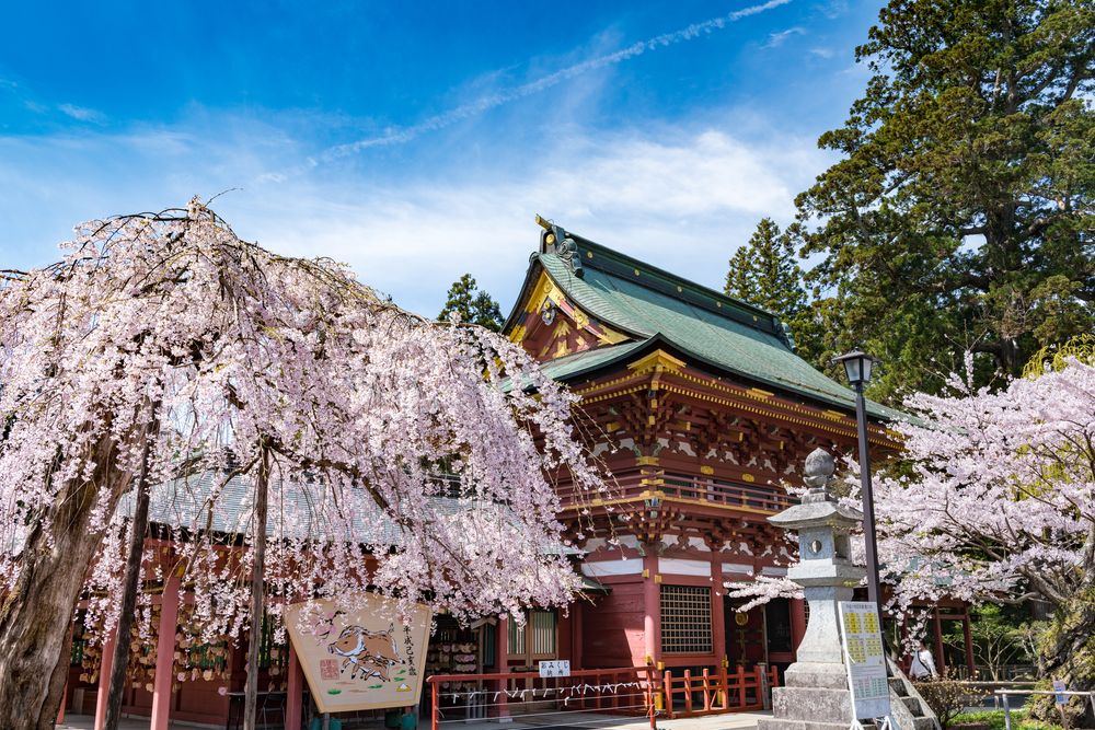 志波彦神社の画像 - 3枚目