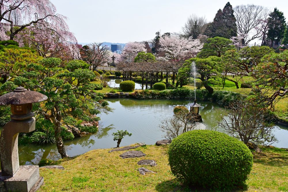 志波彦神社の画像 - 4枚目