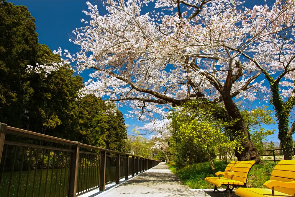 青葉山公園の画像 - 5枚目