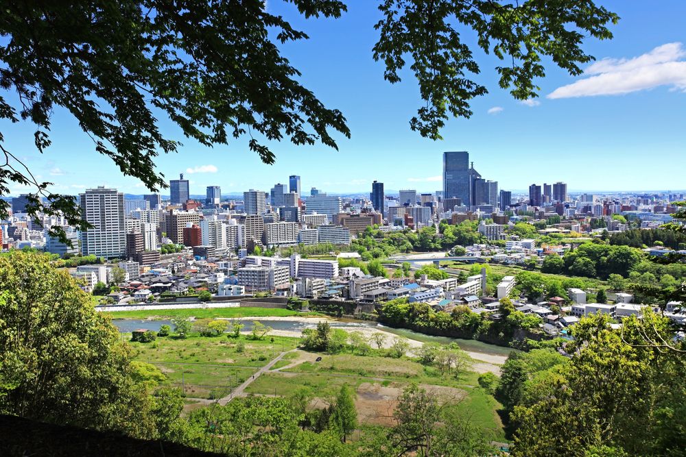 仙台 安い 市 青葉 山 コート