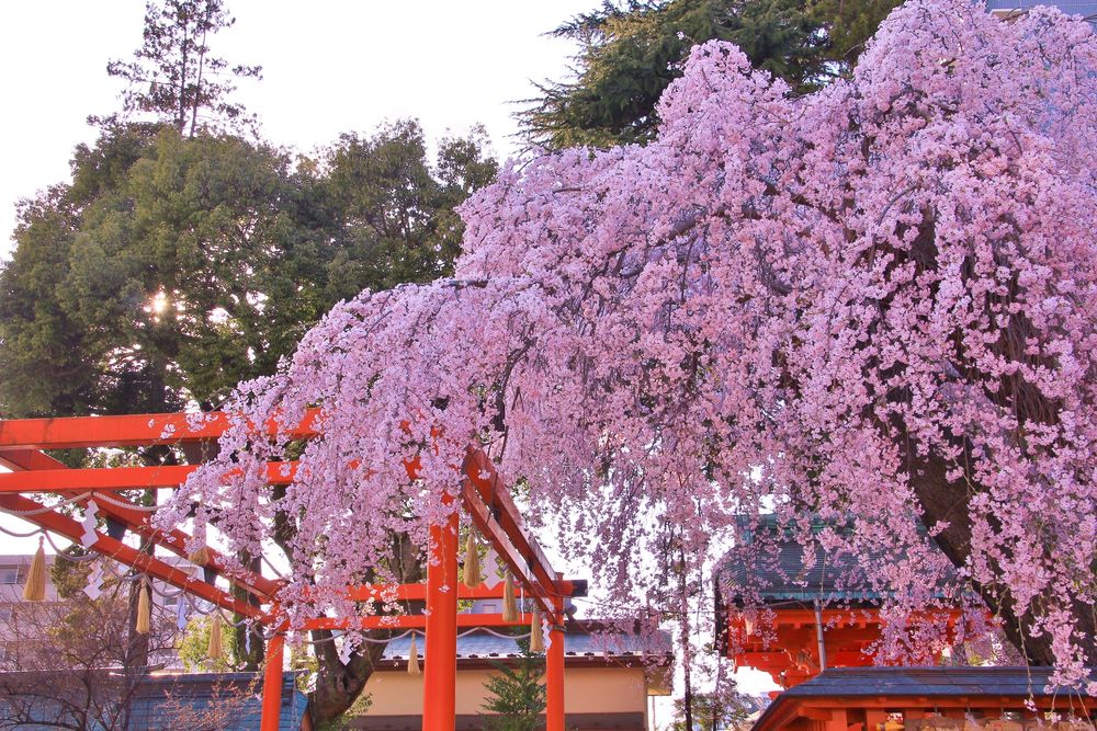 榴岡天満宮の画像 - 2枚目