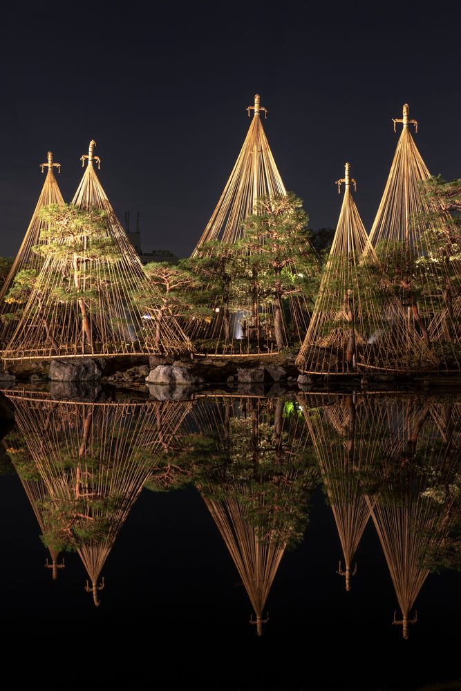白鳥庭園の画像 - 3枚目