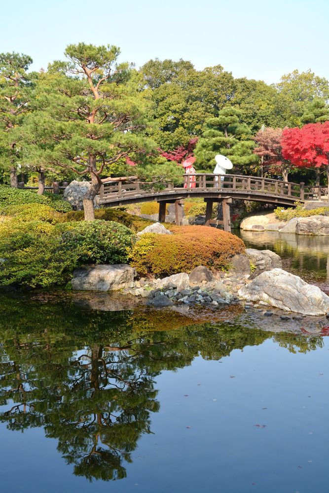 白鳥庭園の画像 - 4枚目
