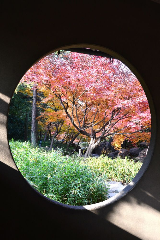 白鳥庭園の画像 - 5枚目