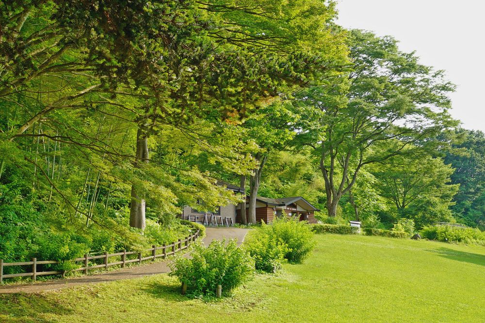 仙台市野草園の画像 - 6枚目