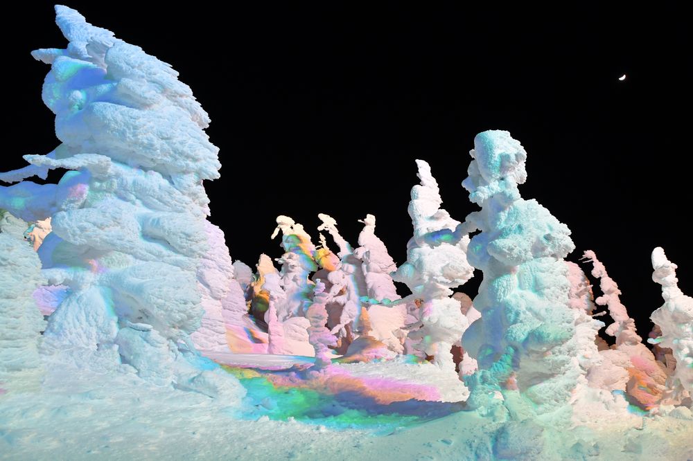蔵王温泉スキー場の画像 - 4枚目