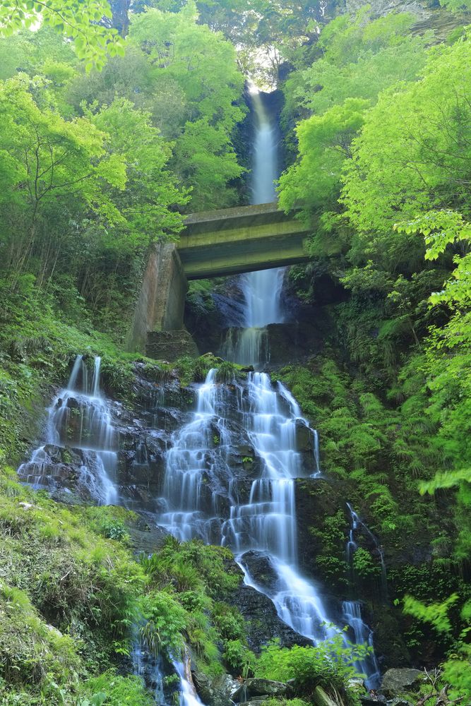 仁淀川】の周辺スポット・アクセス・口コミ - Prism Japan