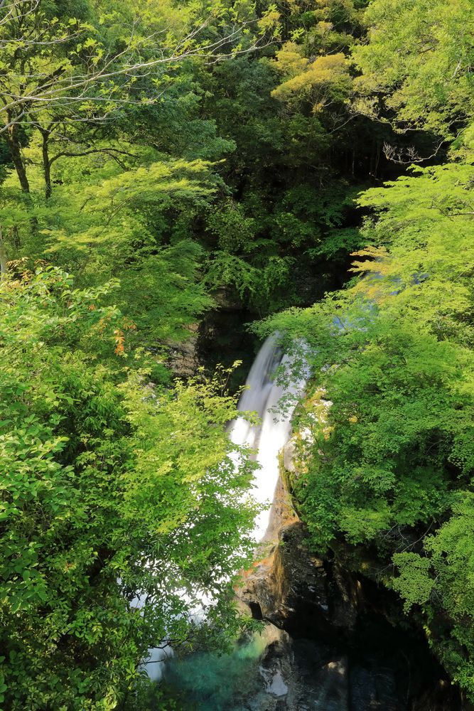 仁淀川の画像 - 4枚目