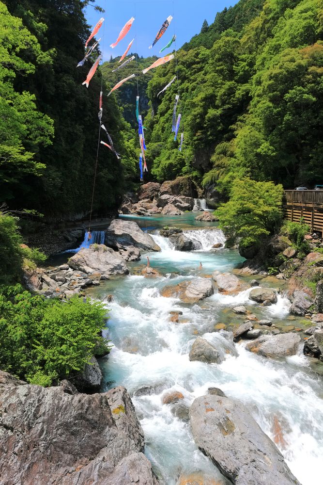 仁淀川】の周辺スポット・アクセス・口コミ - Prism Japan