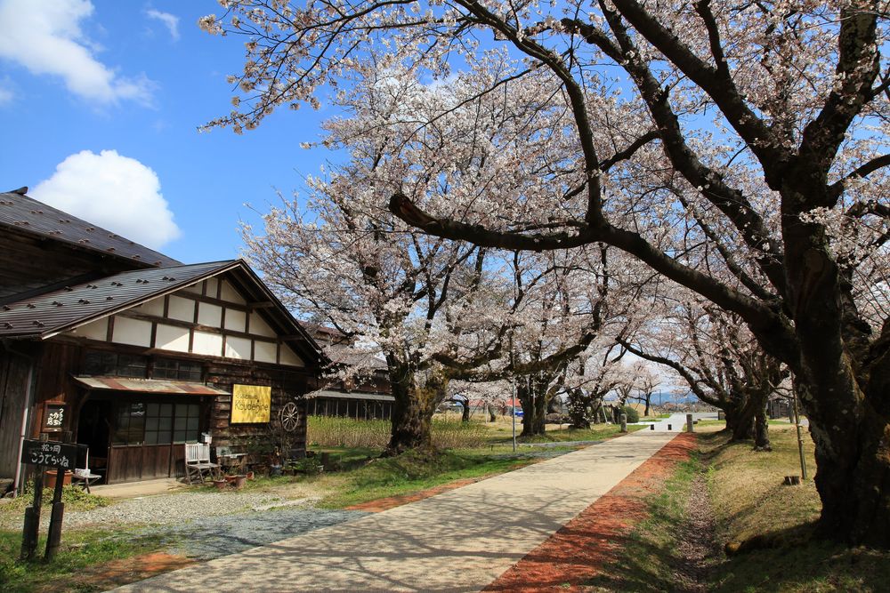 松ヶ岡開墾記念館の画像 - 4枚目