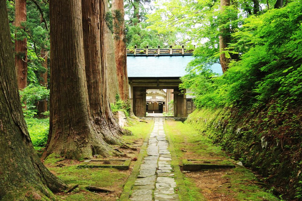 羽黒山の杉並木(国指定天然記念物)の画像 - 2枚目