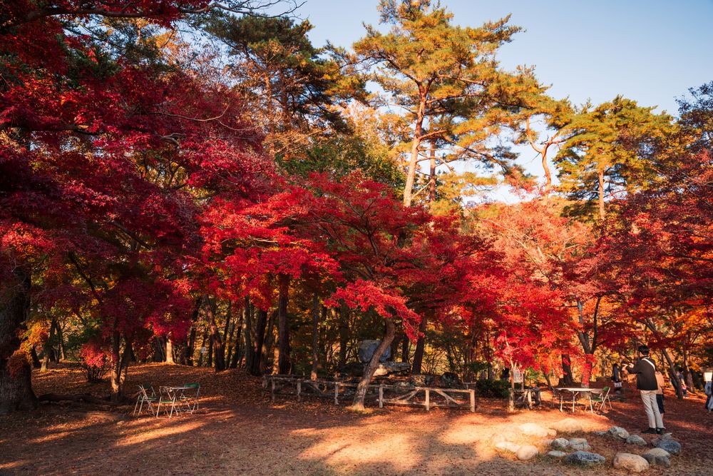 月の石もみじ公園の画像 - 3枚目