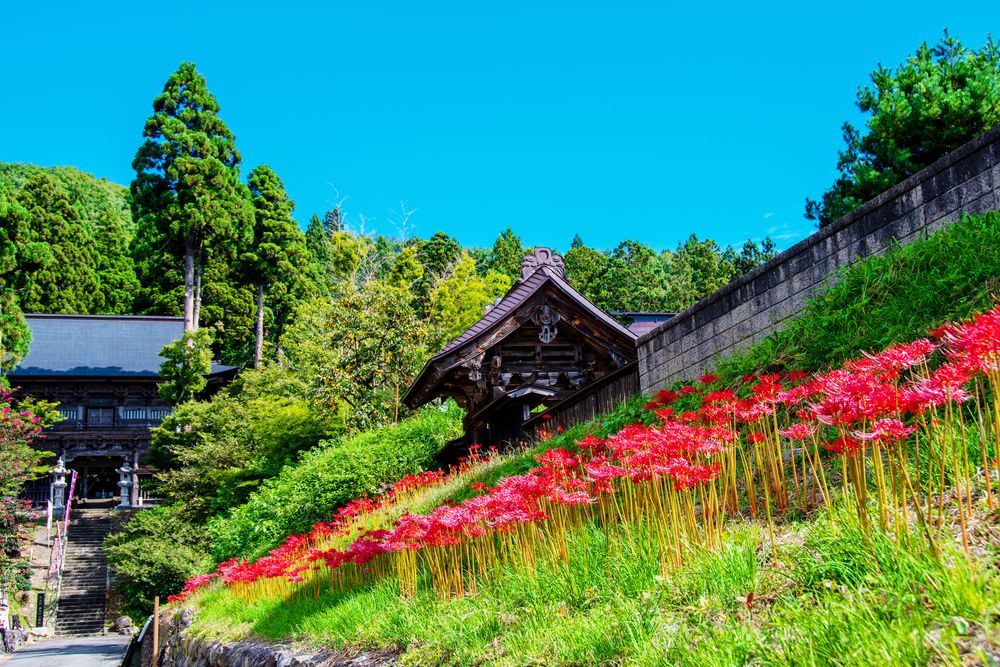 慈恩寺の画像 - 3枚目