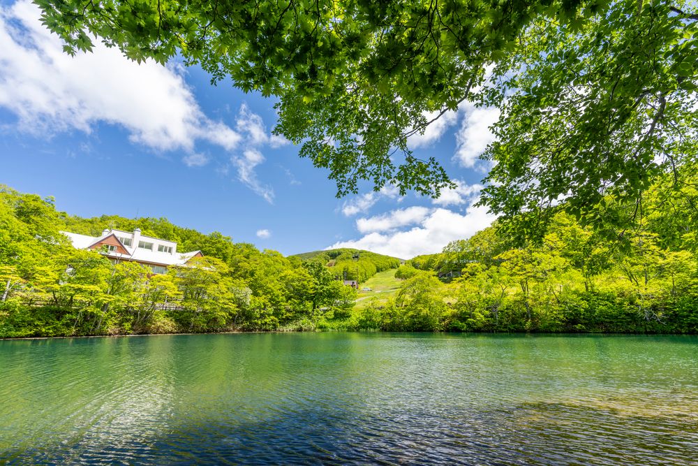ドッコ沼の画像 - 3枚目