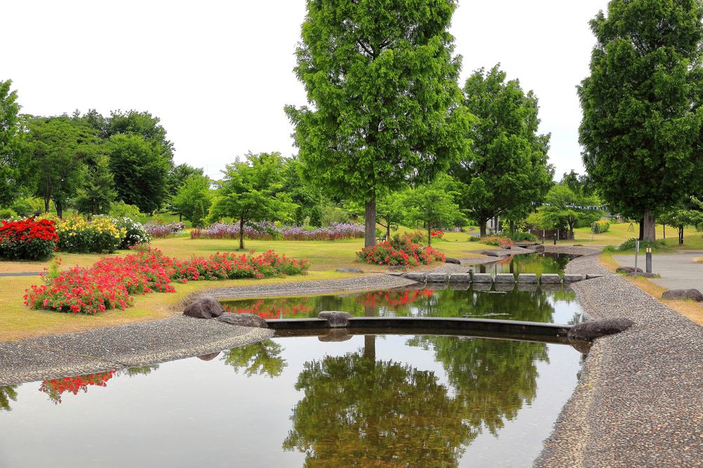 最上川ふるさと総合公園の画像 - 6枚目