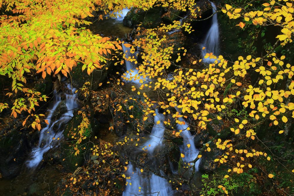 回顧の滝の画像 - 2枚目