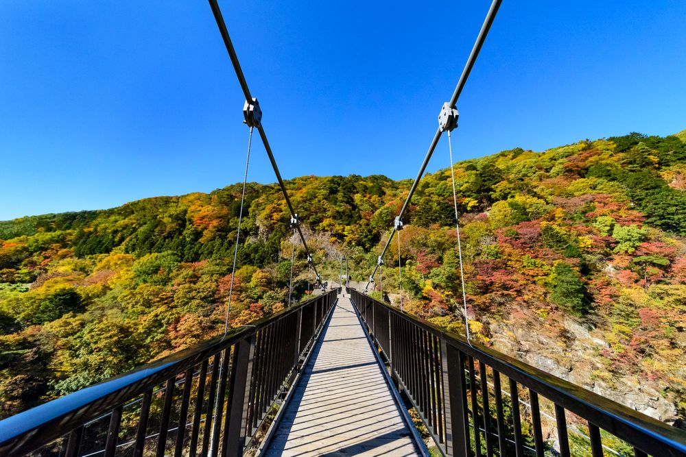 鬼怒楯岩大吊橋の画像 - 3枚目