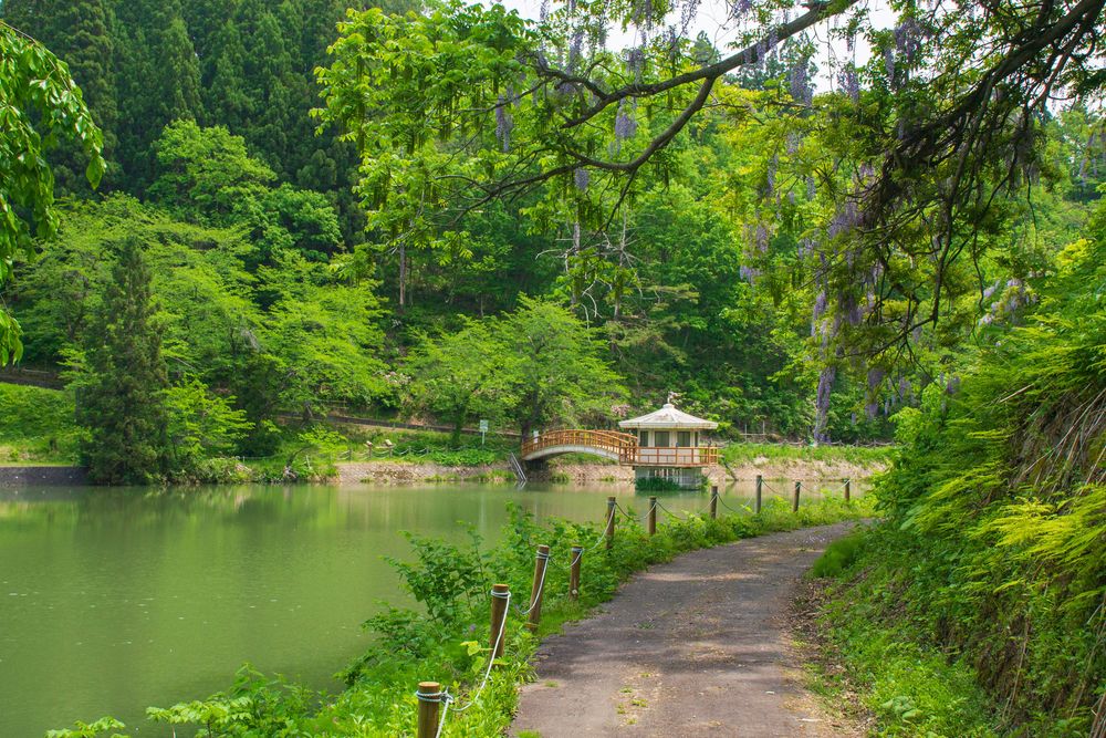 横手公園の画像 - 4枚目