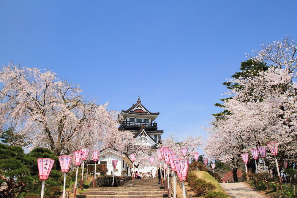 横手公園の画像 - 6枚目
