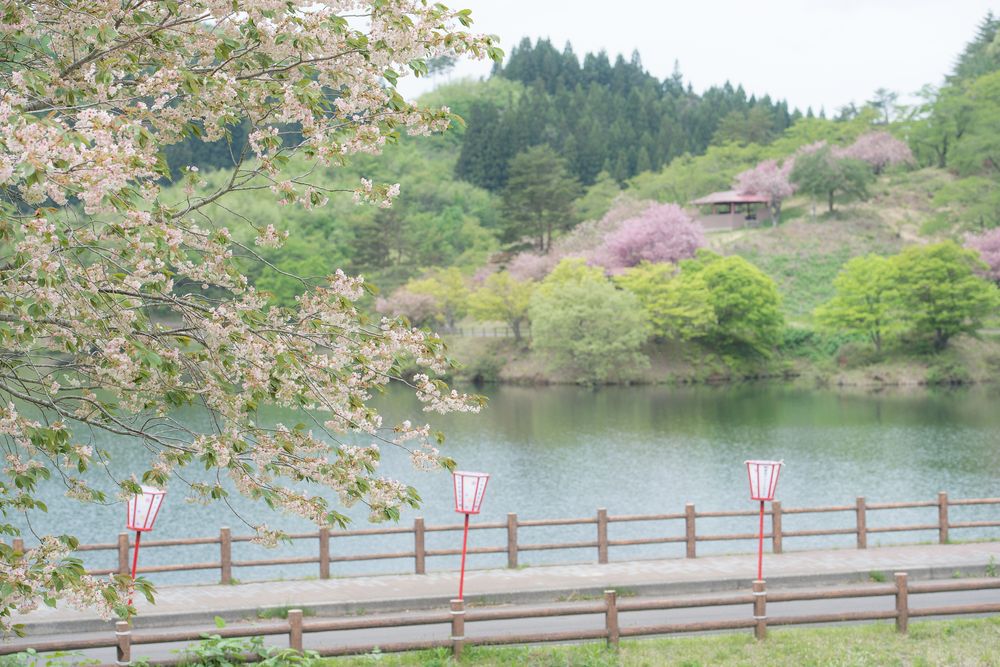 八塩いこいの森の画像 - 2枚目