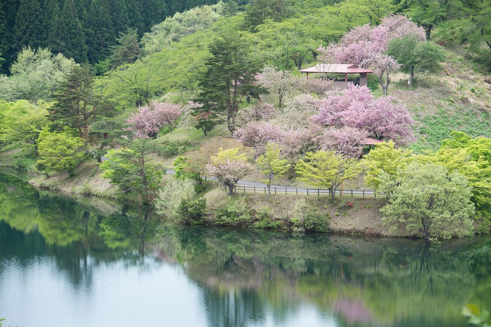 八塩いこいの森の画像 - 3枚目