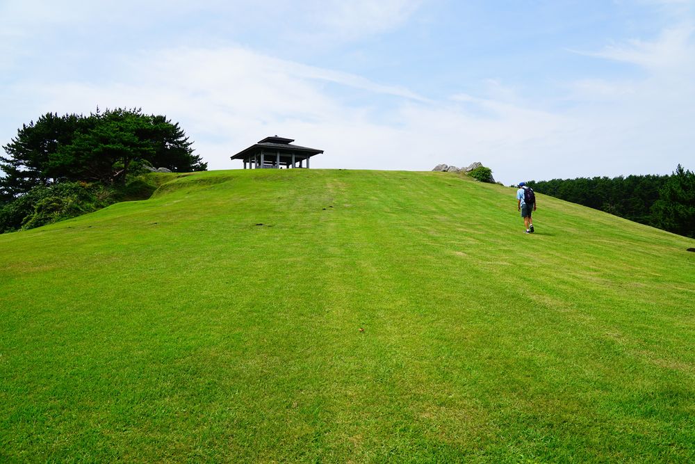 種差海岸天然芝生地