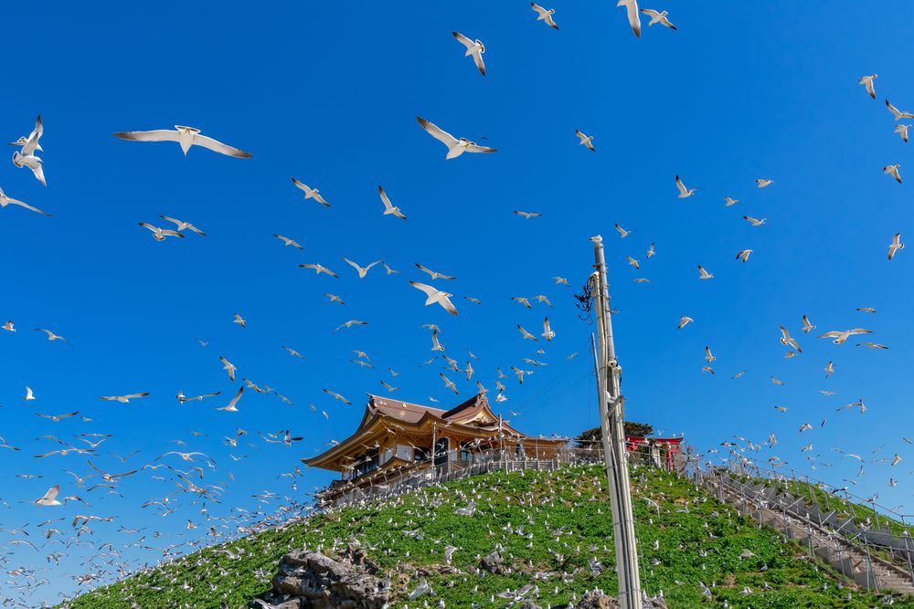 蕪嶋(かぶしま)神社
