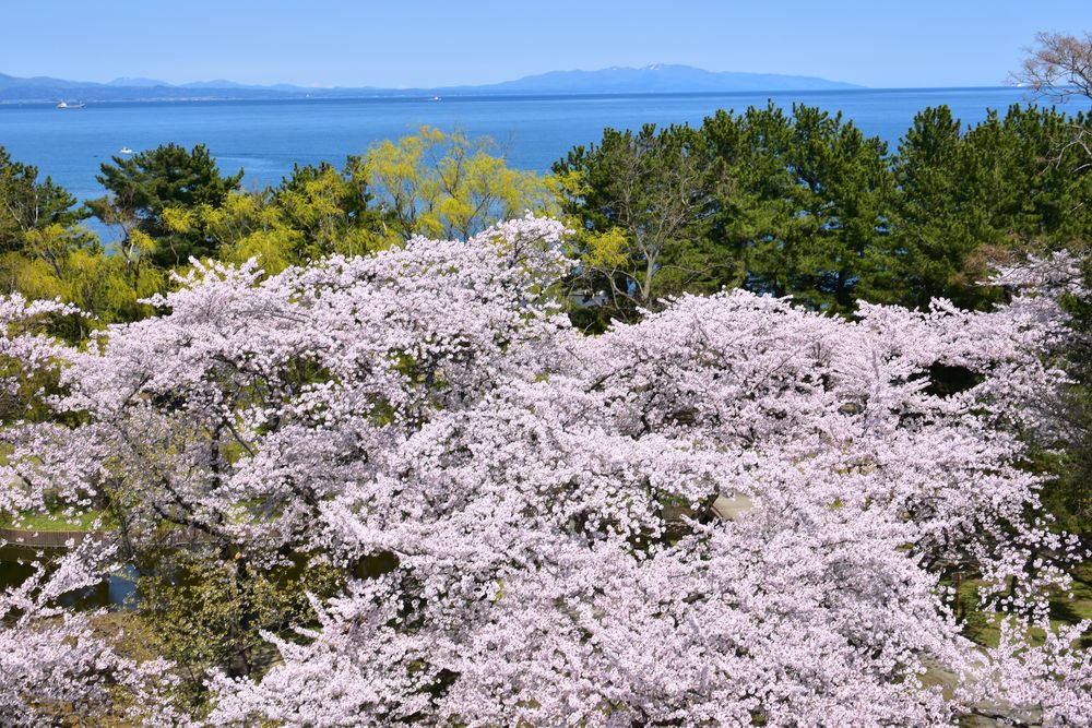 合浦公園の画像 - 4枚目