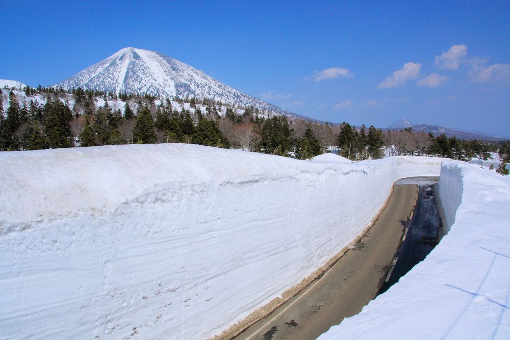 八甲田雪の回廊の画像 - 3枚目