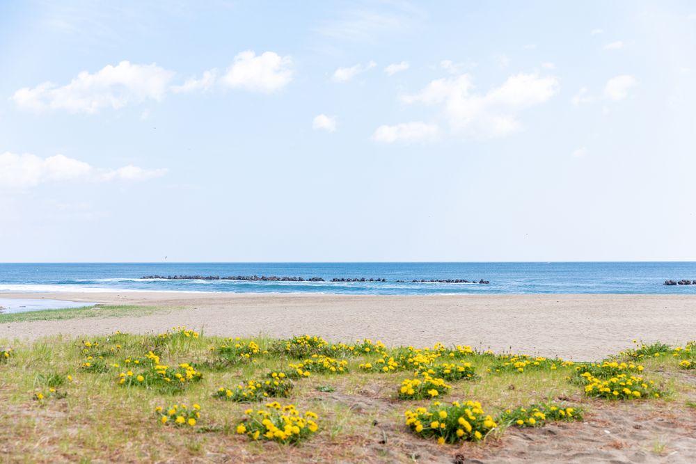 白浜海水浴場の画像 - 5枚目