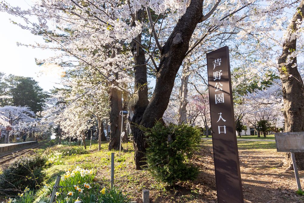芦野公園の画像 - 4枚目