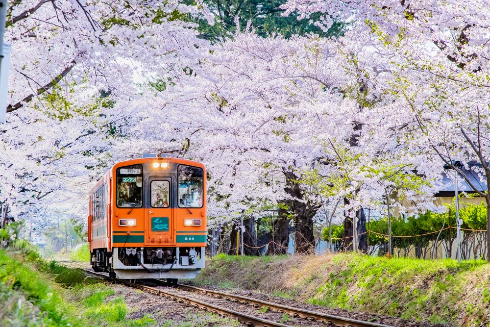 芦野公園