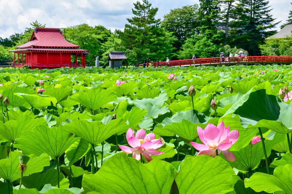 猿賀公園の画像 - 7枚目