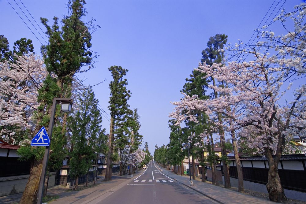 禅林街（禅林三十三ヶ寺）の画像 - 2枚目