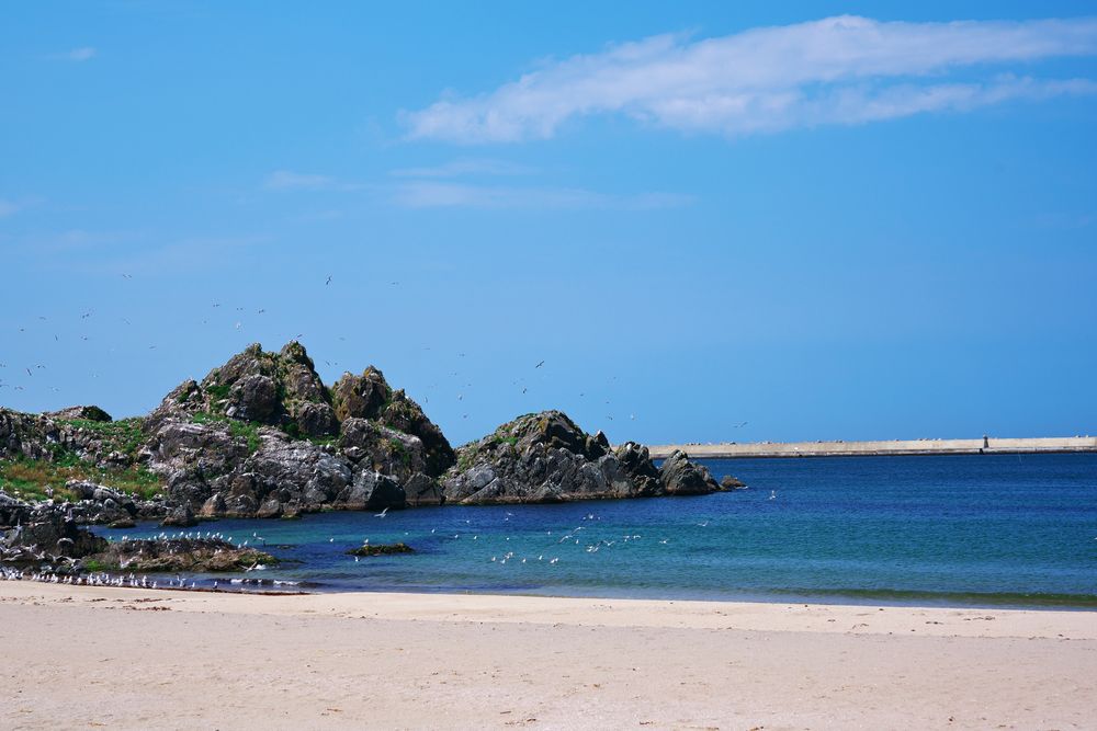 蕪島海水浴場の画像 - 4枚目