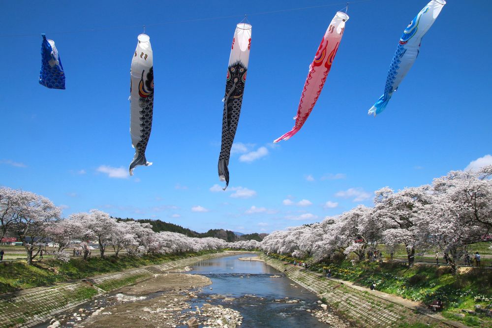 夏井千本桜の画像 - 5枚目