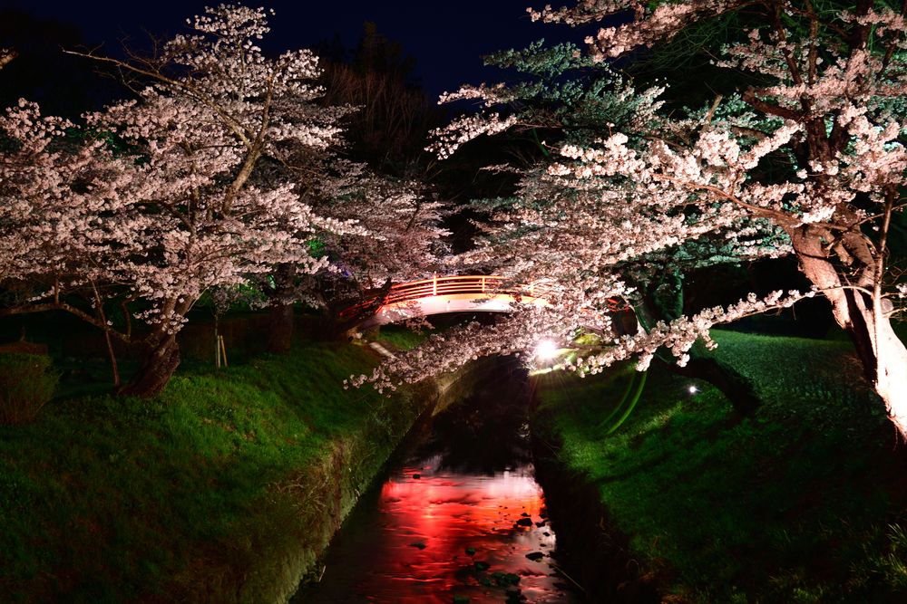 翠ヶ丘公園の画像 - 4枚目